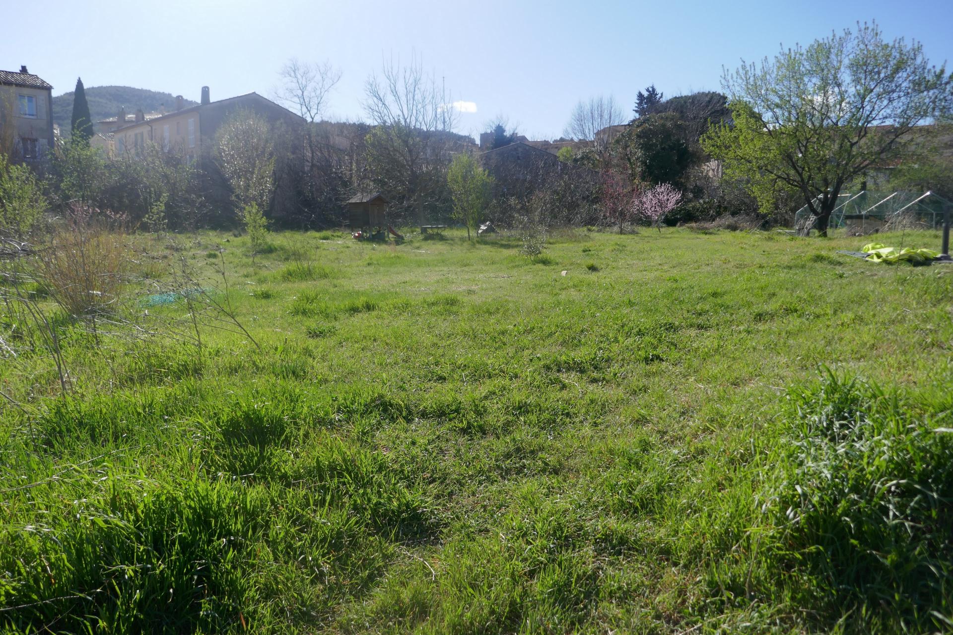 P1050020